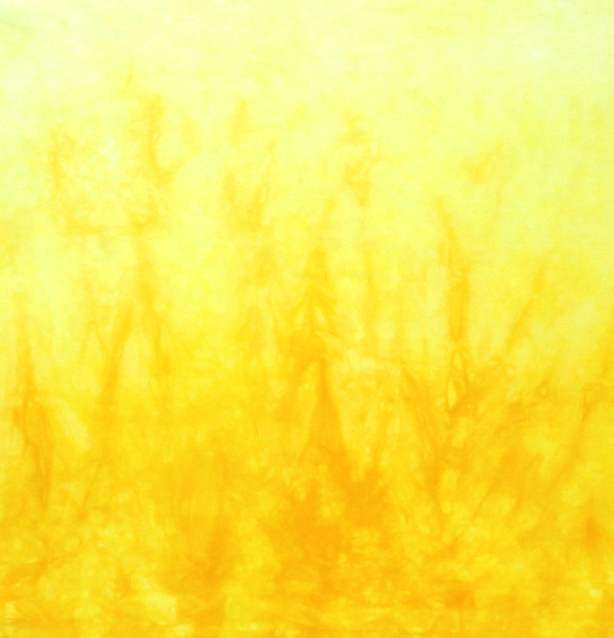 Lemon yellow ombre gradient, quilting cotton, hand dyed, color connexion