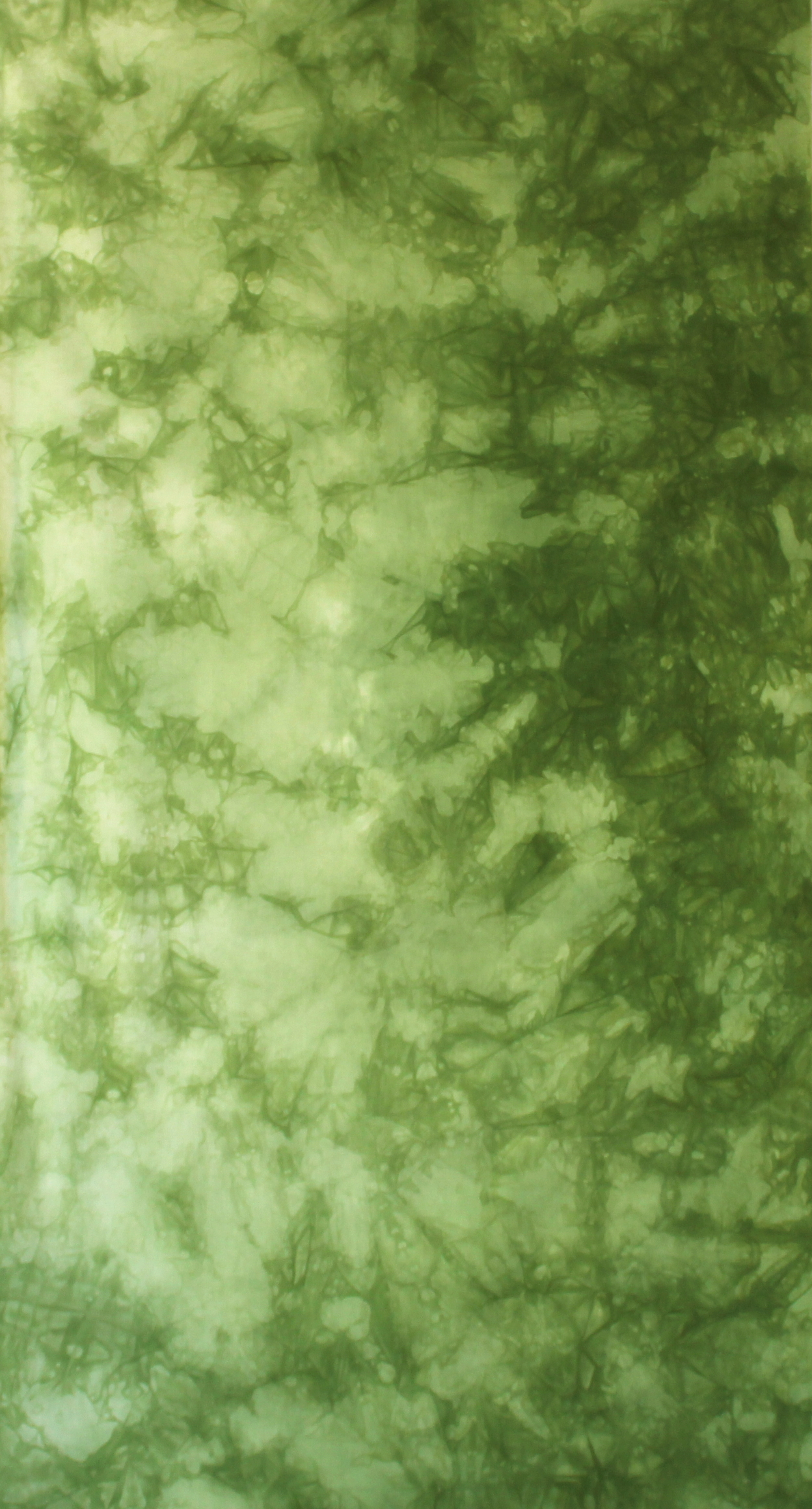 Green ombre gradient, yellow green, half yard of quilt muslin